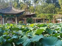 -莲湖公园