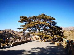 -五当召景区