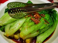 罗马生菜-西贝(枫蓝国际购物中心店)
