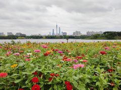 -海珠湖公园