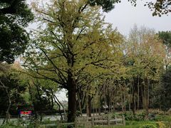 -上海方塔园