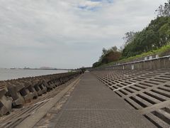 -上海滨江森林公园