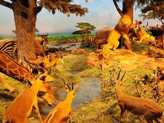 -国家自然博物馆