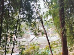 景点-重庆彩云湖湿地公园