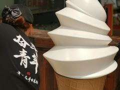 -蜜雪冰城(国权路地铁口店)