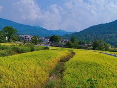 -塔川景区