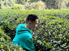 -敬亭山风景名胜区