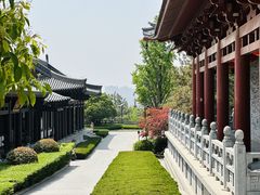 -清凉寺