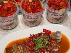 -杨氏青龙虾·羊蝎子(托乐嘉店)