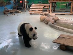 -柳州市动物园