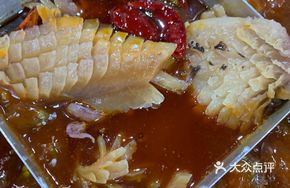 Mashing God's Expanded Squid