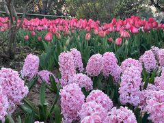 -玄武湖景区-情侣园游乐场