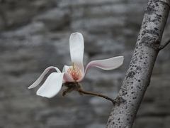 -东华门大街小区