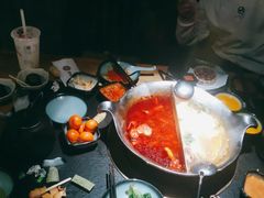 红颜花胶鸡锅-湊湊火锅·茶憩(石家庄万象城店)