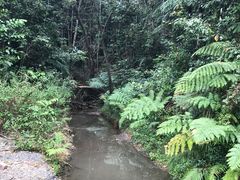 -热带雨林自然公园