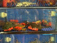 -明记海鲜大排档(巽寮湾店)