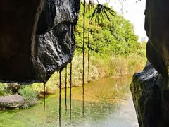 -张坝桂圆林公园