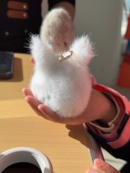 -IMON·HANSA潮玩玩偶毛绒玩具(通州万象汇店)