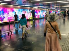 -大望路(地铁站)