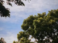 -北坞公园