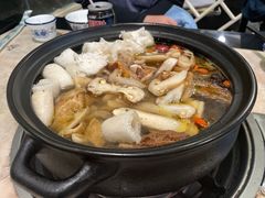 -蘑统田下·野生菌火锅