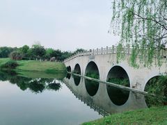 -眉山湿地公园(东坡区)