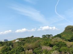 -立新湖公园