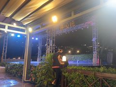 -渔家火锅·海鲜自助餐·演艺(亚龙湾天域酒店)
