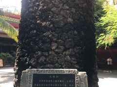 -三亚千古情景区
