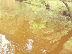 -秦岭终南山世界地质公园翠华山景区