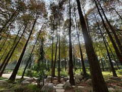 -畔山酒店中餐厅