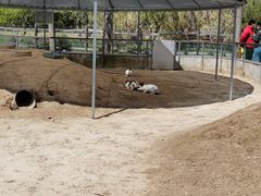 -前小桔亲子创意农场·草莓采摘·露营烧烤