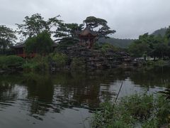 -顺峰山公园