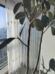 -HEYAN荷妍专业脱毛连锁机构