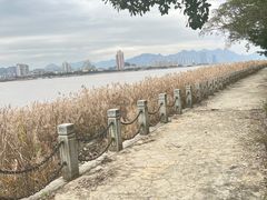 -江心屿景区