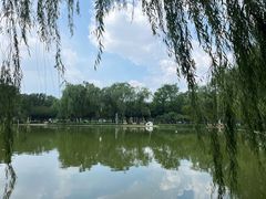 -泰丰公园