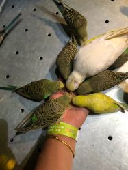 -酷嗒动物文化乐园(cutezoo西溪乐天城店)