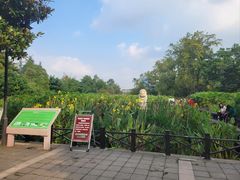 -桂湖森林公园