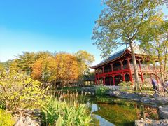 -顺峰山公园