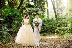 点击看大图 -瞳孔摄影(植物园路店)