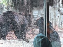 -广州长隆野生动物世界