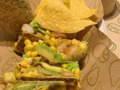 -油梨树 AVOCADO TREE(亮马桥店)