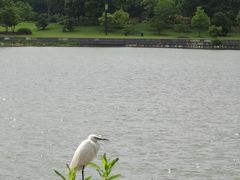 -上海辰山植物园