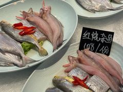 -小绍兴家宴(鲁迅路店)