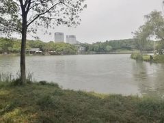 -新洲生态园