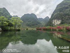 -靖西鹅泉风景区