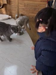 -萌宠亲子动物乐园(槐房万达店)