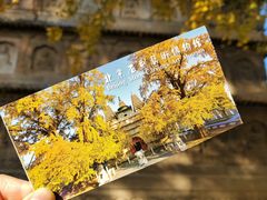 -北京石刻艺术博物馆