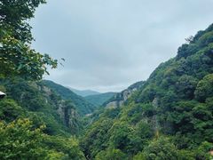 -北仑森林植物园