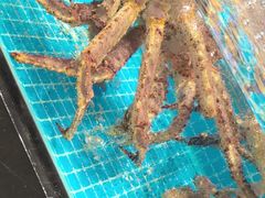 -味到1981日照海鲜·渔饺子